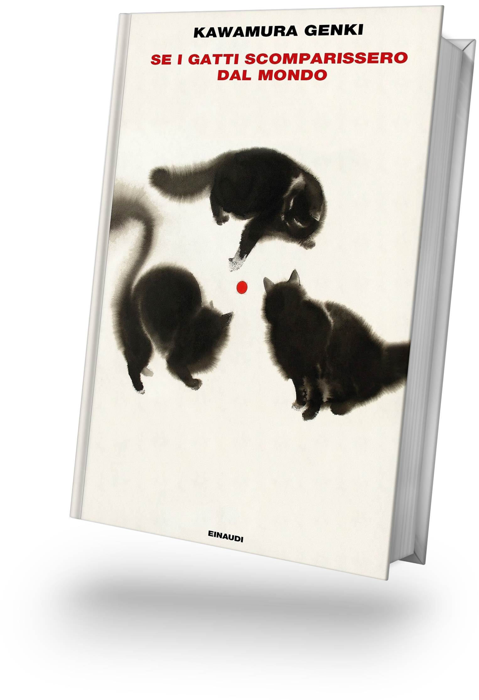 copertina libro sinossi